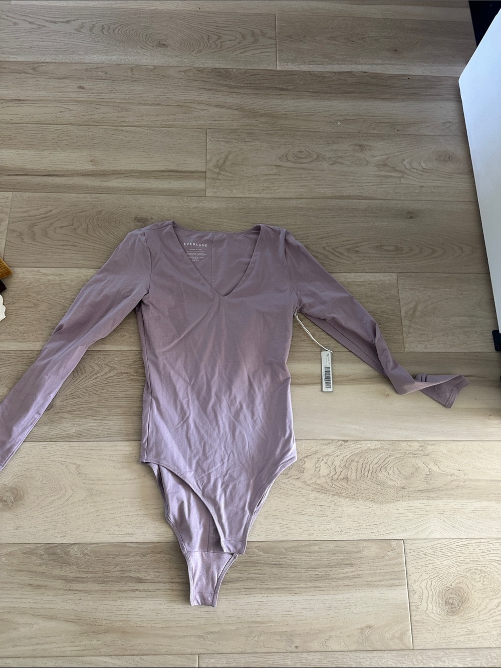 Everlane Long Sleeve V-Neck Bodysuit in Mauve